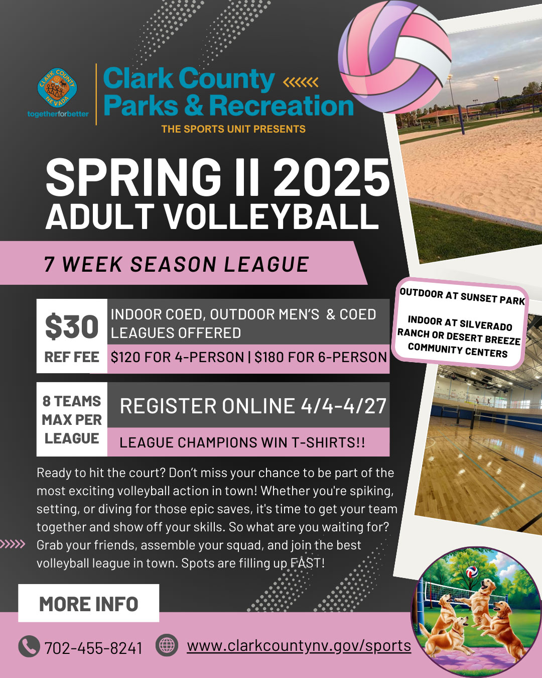 ccpr-volleyball-flyer